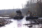 Two Clambunk Skidders at work.
