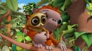 Wissper - Freudschaft mit Hindernissen - Das Lori-Mädchen Lotti und Olli, der Affe, sind die besten Freunde. Doch das Problem ist, dass Lotti nachtaktiv ist und Ollie ist immer nur unter tags wach, weil er nachts immer schläft. Sie haben praktisch keine Zeit, in der sie miteinander länger spielen können. Natürlich hat Wissper eine gute Idee, wie die beiden Primaten mehr Zeit gemeinsam verbringen können. Foto: ORF/STUDIO 100 MEDIA. Veröffentlichung honorarfrei nur für redaktionelle Berichterstattung in Sendungszusammenhang und mit Copyrightangabe. Kontakt: foto@orf.at