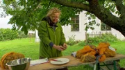Erdapfel - Mara Müller kontrolliert die Erdäpfel.