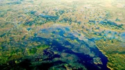 Okavango-Delta