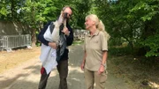 Marabu-Weibchen Mara wirkt etwas schlapp und kraftlos. Der afrikanische Storchenvogel gibt Tierpflegerin Uschi Otto und Zoo-Doc Viktor Molnár Rätsel auf: Steckt bei Mara ein Ei fest? Oder ist der vor Jahren behandelte Tumor wieder zurück? Es nützt nichts, Maras Bauchhöhle muss durchleuchtet werden. Der Tierarzt will Mara so wenig wie möglich Stress zumuten, deshalb bekommt sie keine Narkose. Doch es ist gar nicht mal so einfach, den 6-Kilo-Vogel ruhig auf den Röntgentisch zu legen…