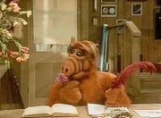 Alf versucht sich als Dichter und verfasst fuer den Nachbarsjungen Jake Liebesbriefe, denn Jake weiss nicht, wie er seinem Schwarm seine Gefuehle offenbaren soll.