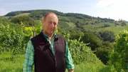 Harry Prünster im südsteierischen Weinland.