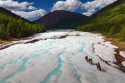 Der boreale Nadelwald, besser bekannt als Taiga: Für die Nomaden der Mongolei boten die Urwälder jahrtausendelang einen Lebensraum.