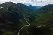Ein Gebiet voller Artenvielfalt: Die Taiga bedeckt 17 Prozent der Erdoberfläche und verfügt über die weltweit größte Dichte an Flüssen und Bodenschätzen.