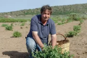 Die Insel Pantelleria ist berühmt für ihre besonderen Kapern.
