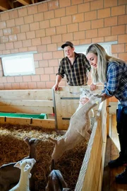 Nicole Berchtold bei Christian Wegmüller, Produzent Geissenkäse