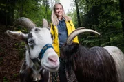 Nicole Berchtold unterwegs mit den zwei Ziegenböcken