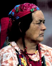 Seit Jahrtausenden ziehen sie gemeinsam mit ihren Herden auf traditionellen Routen über die Grassteppen Asiens und Südamerikas. Weder politische Grenzen noch die Einflüsse unserer modernen Welt können die Menschen vom Stamm der Golok, der Khambas, der Tsaaten oder der Callahuayas daran hindern, an ihrer uralten Lebensweise festzuhalten.