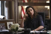 Erin Reagan (Bridget Moynahan)