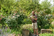Im Sommer werden Rosenpflanzungen vielerorts durch Pilzbefall wie Mehltau, Rosenrost oder Sternrußtau unansehnlich. Karl Ploberger hat Tipps, wie dem vorgebeugt werden kann.