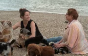 Bei Züchterfamilie Bettendorf steht eine Premiere an: Zehn Mini American-Shepherd-Welpen fahren das erste Mal Bus.