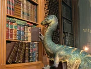 Zippo ist ein sehr freundlicher Stenoychosaurus, der in Waterfull-City als Bibliothekar arbeitet. Er spricht 17 Sprachen und kennt sich in der Historie von Dinotopia sehr gut aus. Zippo nimmt Karl und David bei sich auf, um sie mit dem Leben auf Dinotopia vertraut zu machen.