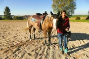 Quarter Horse Cash trägt einen Westernsattel.