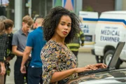 Special Agent Sheryll Barnes (Roxy Sternberg)