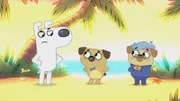 Dog kann sich nicht konzentrieren, weil Puck so laut Hundekekse geknabbert hat.