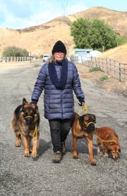 Judy geht mit dem Rudel im Hundepsychologiezentrum spazieren. (National Geographic)