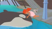 Marina (M.) hat den jungen Orca-Wal (l.), den Onkel Patrick mitgebracht hat, sofort ins Herz geschlossen. Sie gibt ihm feierlich den Namen Billy. Koala Raoul (r.) dagegen ist nicht sehr glücklich über den Neuankömmling.