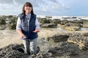 Die Zu-Fuß-Fischerin Myriam Pont erntet Muscheln bei Calais.