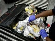 An Agricultural specialist inspecting a passenger's luggage.