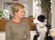 Die Familien-Hündin verhält sich in der letzten Zeit sehr merkwürdig. Wie sich herausstellt ist sie schwanger und steht kurz vor der Niederkunft. Alex (Wolke Hegenbarth) ist mit dem winselnden Hund alleine im Haus; dabei hat sie ein für sie äußerst wichtigen Termin...