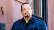 Odafin "Fin" Tutuola (Ice T)