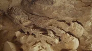 Geliebtes Haustier oder Opfergabe? Das Archäologen-Team in al-Asasif untersucht zwei Mumien, die zusammen mit einem Hund bestattet wurden.