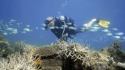 Meeresbiologe Alasdair Harris hat die NGO Blue Venture gegründet und setzt sich für nachhaltige Fischerei ein.