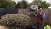 +++ Die Verwendung des sendungsbezogenen Materials ist nur mit dem Hinweis und Verlinkung auf RTL+ gestattet. +++