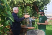 Hopfengarten Bamberg: Alexander Herrmann (links) erkundet mitten in der Gärtnerstadt die verschiedenen Aroma-Hopfensorten, die Kris Emmerling in seiner Gärtnerei anbaut.