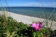 Die Ostsee ist das jüngste Meer der Erde und erst nach der letzten Eiszeit entstanden. Es scheint so vertraut, bietet aber viele Überraschungen. Wind und Wellen formen bis heute die Ufer der Ostsee. Die erste Folge führt von Dänemarks Nordspitze, über die Halbinsel Darß und die Kurische Nehrung bis zu den endlosen Stränden Lettlands. - Foto: Anholt, Dänemark.