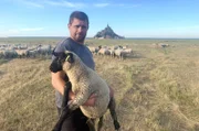 Florian Muriel mit einem seiner Salzwiesenschafe vor dem Mont-Saint-Michel