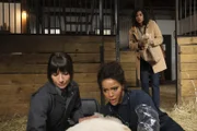 L-R: Grace Palmer, guest star Alvina August and Vella Lovell in the "Skunks and Llamas" episode of ANIMAL CONTROL airing Thursday, Mar 23 (9:01-9:30 PM ET/PT) on FOX.