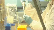 DNA-Proben im Labor.