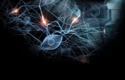 EinsPlus ALPHA 0.7: DER FEIND IN DIR, am Mittwoch um 22:15 Uhr. Schaltzentrale Gehirn - Alpha 0.7: "Der Feind in dir" ist ein transmediales Medienprojekt: Radio, Fernsehen, Internet.