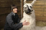 Grace Palmer in the "Skunks and Llamas" episode of ANIMAL CONTROL airing Thursday, Mar 23 (9:01-9:30 PM ET/PT) on FOX.