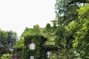 Im Botanischen Garten Gießen.