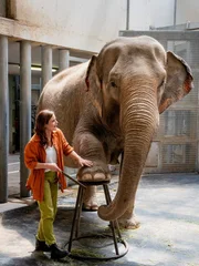 Pediküre bei den Elefanten: Die freie Tierärztin Dr. Susanne Mertens (Elisabeth Lanz) ist auch für die Dickhäuter des Leipziger Zoos da. Doch Elefantendame Najuma will nicht fressen und zeigt auffälliges Verhalten.