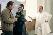 v.li.: Wolf Bachofner (Harald Franitschek), Ursula Strauss (Angelika Schnell), Gottfried Breitfuß (Dr. Christian Czermak).