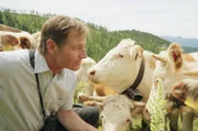 Tierarzt Dr. Brandstaetter