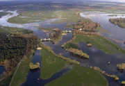 Wilde Schöne auf Zeit: Über Stauwehre wird der Wasserstand der Havel reguliert. Nur für kurze Zeit darf das Wasser die Havelwiesen überfluten, sie düngen und Zugvögeln und Fischen Nahrung schenken. Dann werden die Wehre geöffnet und binnen weniger Tage fallen die Wiesen trocken.