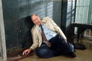 Edwin Adelson (Stephen Tobolowsky) wird von einer Bürgerinitiative angegriffen, die gegen registrierte Sexualstraftäter in der Nachbarschaft ankämpft. Ist er denn wirklich der Täter, der ein zehnjähriges Mädchen missbraucht hat?
