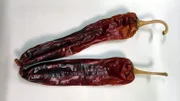 Gewürzpaprika müssen rasseln, nur dann eigenen sie sich zur Gewürzherstellung.