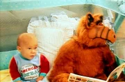 Alf nimmt seine Aufpasserpflichten durchaus ernst, auch wenn er hin und wieder vom Schlaf übermannt wird...
