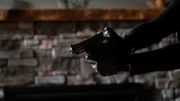 Der Mörder richtete die Waffe.
