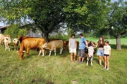 Rinder beweiden als natürliche Rasenmäher die Streuobstwiesen von Roland und Katrin Heldrich in der Oberpfalz.