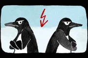 Streit bedeutet Stress: Wenn wir mit Meinungen konfrontiert werden, die unseren eigenen widersprechen, schalten wir oft in den Flucht- oder Angriffsmodus.