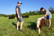 Mit der Zucht von tibetischen Yak-Rindern wollen Sigrid und Bastian Reif ihren Hof in Mittelfranken bald im Vollerwerb betreiben. Als die Herde von einer tödlichen Krankheit befallen wird, gerät das Projekt ins Wanken...