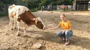 Auf dem Gnadenhof Gut Streiflach dürfen Kühe alt werden.