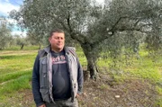 Seit die Olivenölpreise 2023 stark angestiegen sind, stehlen Diebe nachts Tausende Kilo Oliven. Antonio Basa ist sehr verärgert darüber.